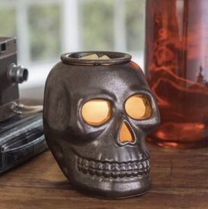 The Candle Warmers Etc. Skull Illumination Fragrance Warmer